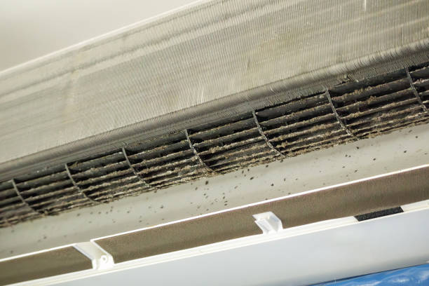 Best Air Duct Cleaning Near Me  in Frankl, IN