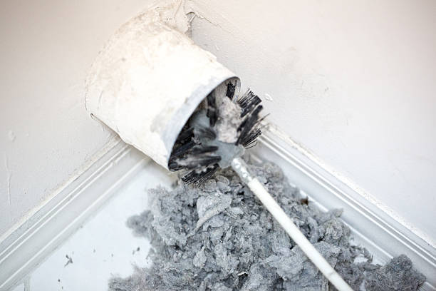 Best Ductwork Cleaning Services  in Frankl, IN